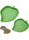 B&amp;K Leaf Reptile Food and Water Bowl for Pet Aquarium Ornament Terrarium Dish Plate Lizards Tortoises or Small Reptiles