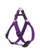 Lupine Step In Harness 20-3, Purple, 3/4 Inch