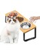 Exrp Elevated Cat Bowls with 3 Stainless Steel Bowls   15&deg; Tilted Anti-Vomiting Raised Cat Food Bowls for Small Cats and Puppies Pet Bowls with Stand