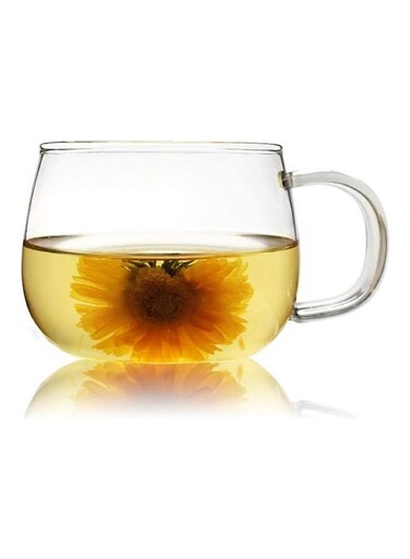 4-Piece Glass Borosilicate Tea/Espresso Coffee Milk Cup Clear 300ml