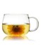 4-Piece Glass Borosilicate Tea/Espresso Coffee Milk Cup Clear 300ml