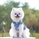 Puppy Dresses for Small Dogs, Female Summer Dog Clothes, Yorkie Dresses, Bowknot Princess Denim Dress for Dogs, Dog Tutus Skirts, Doggie Pet Outfit, Cat Clothing (White, XL)