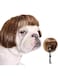 GGEROU Dog Cosplay Wig, Adjustable Pet Costumes Funny Headwear Hair Wig for Small Medium and Large Dogs, Realistic &amp; Funny Pet Hair for Halloween Cosplay Decoration Styling/Shooting/Vlog Sharing