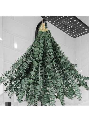 Oning 31 PCS Dried Preserved Eucalyptus Bundle for Shower-17'' Real Large Dried Eucalyptus Stems Shower Plants for Shower Hanging, Fresh Eucalyputus Leaves, Frangence, Bathroom Vase Decor