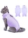 Cat Recovery Suit for Abdominal Wounds or Skin Diseases,Professional Breathable Surgical Recovery Suit ,After Surgery Wear Anti Licking Wounds,E-collar Alternative for Cats and Dogs (M-purple)