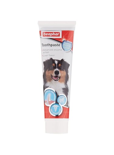 Beaphar Toothpaste For Cats &amp; Dogs (Liver Flavor) - 100 Gms