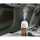 Portable Mini USB Humidifier 250ML Water Tank Type-C Rechargeable Air Mist Diffuser