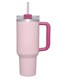 H20 Flowstate Stainless Steel Vacuum Insulated Tumbler with Lid and Straw for Water, Iced Tea or Coffee, Smoothie More, Cream (Flamingo Pink)