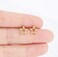 Colorland Toys - Sonata Gold Plated Surgical Steel Earrings Assorted Design