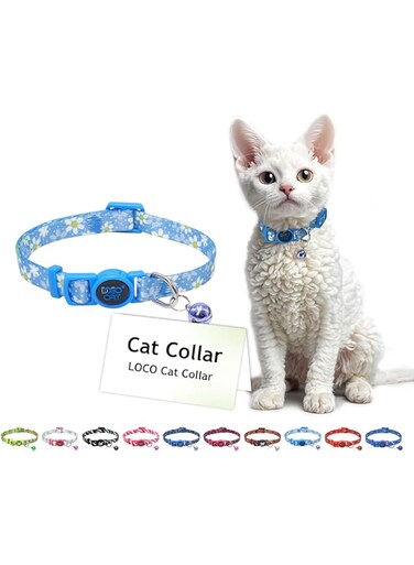 DOCO&reg; LOCO Cat Collar Pattern Printed (DCAT002) Texture - Daisy