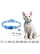 DOCO&reg; LOCO Cat Collar Pattern Printed (DCAT002) Texture - Daisy