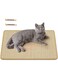 Ours To Yours Cat Scratch Pad, 23.6 X 15.7In Cat Scratching Mat with Adhesive Hook Tape, Sisal Scratching Pads for Cats, Stick on Floor Couch as Cat Scratch Furniture Protector, Cat Wall Scratcher