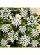 kockuu 36pcs Christmas White Snowflake Ornaments Plastic Glitter Snow Flakes Ornaments for Winter Christmas Tree Decorations Size Varies Craft Snowflakes