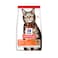 Hills Science Plan Adult Cat Dry Food With Lamb - 1.5Kg
