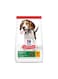 Hill's Science Plan Medium Puppy Food with Chicken (2.5kg)