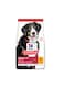Hill's Science Plan Large Breed Adult Dog Food with Chicken (2.5kg)