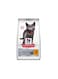 Hill's Science Plan Sterilised Kitten Food Chicken (1.5kg)