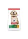 Hill's Science Plan Large Breed Puppy Food with Chicken (16kg)