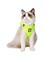 HEYWEAN Cat Harness and Leash - Ultra Light Escape Proof Kitten Collar Cat Walking Jacket with Running Cushioning Soft and Comfortable Suitable for Puppies Rabbits