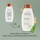 Aveeno Plant Protein Blend Shampoo For Strong Healthy-Looking Hair, 12 Fl Oz
