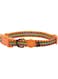 DOCO LOCO Collar - (DCL002) Texture - Lime Street, Sizes - L