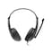 CANYON CHSU-1 Lightweight PC Headset with Microphone, USB-A Connection, Inline Volume Control, 40mm Drivers, Leather Ear Pads, 2m Cable &ndash; Compatible with Laptops &amp; PCs