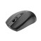 CANYON MW‑7 Wireless Mouse, 2.4 GHz USB Receiver, 4 Buttons, Adjustable DPI 800/1200/1600, Pixart 3065 Sensor, AA Battery Included, Lightweight 58 g, Ambidextrous Design, Black