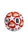 FIFA World Cup 2026 Red Stars Football