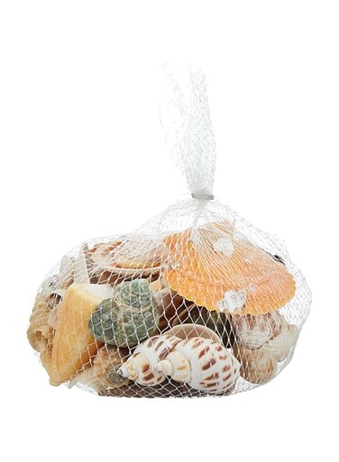 Mumoo Bear 200g Sea Shells Mixed Ocean Beach Seashells Colorful Natural Seashells Fish Tank Accessory