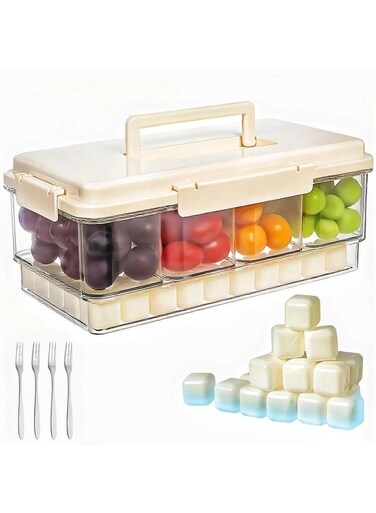 Snackle Box Container with Ice Pack-Chilled Divided Serving Tray with Lid and Handle 4 Compartments Cooling Travel Charcuterie Box with fork for Outdoor Parties, Picinics