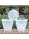 Meshpot Clear Plastic Orchid Pots With Holes - 3 Pack (2Pcs 6 Inch Pot,1Pc 5 Inch Pot)