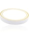 PLATINUM CARE 20pc Ivory Dinner Plate Stamp With Golden Edge - 23 Cm's