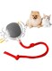 Chewie Viral Rolling Ball,Interactive Cat Ball Toy,Chewie Ball For Dogs,Smart Automatic Rolling Pet Ball, With Usb Charging (1Ball Grey+2Rops Red &amp; Grey)