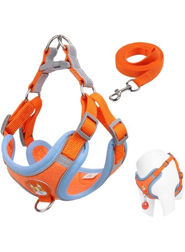 Beauenty Small Dog Harness No Pull, Adjustable Dog Harness with 2 Leash Clips, Easy Control Padded Dog Vest Harness, Reflective Puppy Harness and Leash Set (L, Orange)