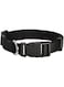 Bobby - Access Collar - Black/S