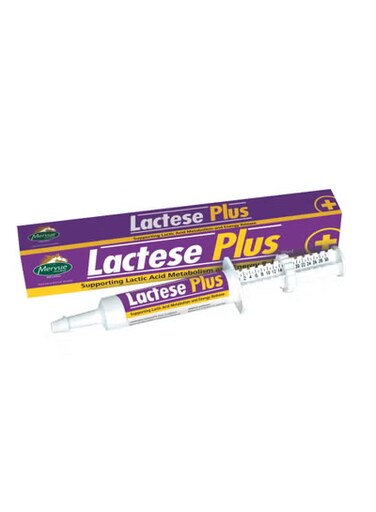 MERVUE Lactese Plus مكمل دعم استقلاب حمض اللاكتيك وإطلاق الطاقة للخيول 30 مل من ڤارماسي