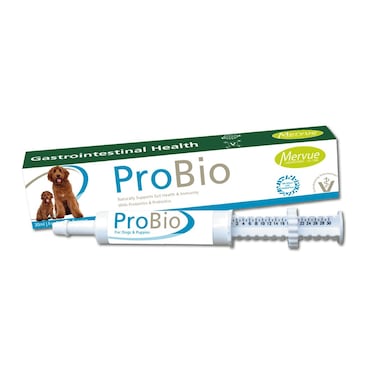 Mervue ProBio Paste for Dogs &amp; Puppies Advanced Gut Health &amp; Immunity Support   Probiotics, Prebiotics, B-Vitamins &amp; Antioxidants Supplement for Digestive Wellness &amp; Gastrointestinal Recovery 30ml
