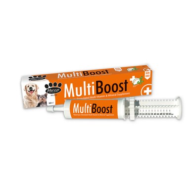 Mervue MultiBoost Liquid Multivitamin &amp; Mineral Supplement for Dogs &ndash; 60ml