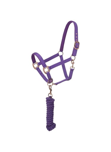 Tough 1 Tough-1 Neoprene Padded Halter with Antique Hardware Lead Set