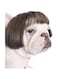 KASTWAVE Dog Wig Pet Costumes, Cat Costume Synthetic Accessories Small Dog Headwear for Halloween, Festival Party Decor, Head Wear Apparel Toy