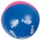Flamingo Cat Toy Magic Ball