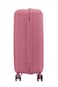 American Tourister Curio Spinner 69 cm - Peach Blossom - 3 Years Global Warranty