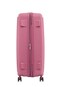 American Tourister Curio Spinner 80 cm - Peach Blossom - 3 Years Global Warranty