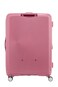 American Tourister Curio Spinner 80 cm - Peach Blossom - 3 Years Global Warranty