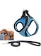 Bolivia's Dog Harness and Leash Set, Reflective and Breathable Pet Harness with Safety Buckle for Puppy Small Medium Dogs and Cats, Step-In Air Adjustable Soft Padded Vest Harness Easy Control(Blue M)