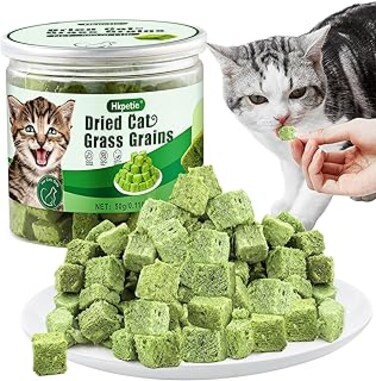 Hkpetie 50g Catnip Cat Grass Toys forIndoor Cats for Hairball Remove and Teeth Cleaning