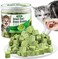Hkpetie 50g Catnip Cat Grass Toys forIndoor Cats for Hairball Remove and Teeth Cleaning