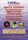 White Shrimps 100g