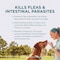 Zoetis Simparica TRIO the Complete Flea, Tick, and Heartworm Prevention for Dogs 2.5 - 5 kg ( 3 Chewable Tablets )