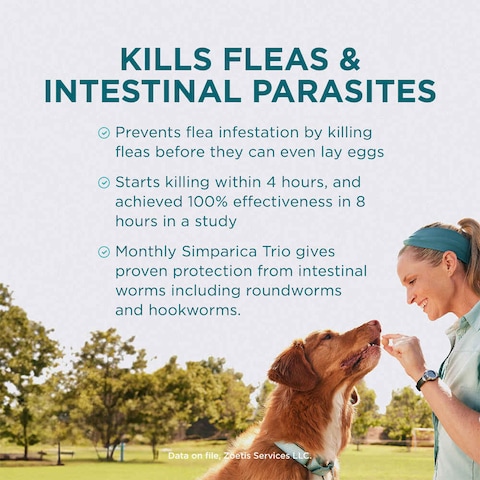 Zoetis Simparica TRIO the Complete Flea, Tick, and Heartworm Prevention for Dogs 2.5 - 5 kg ( 3 Chewable Tablets )
